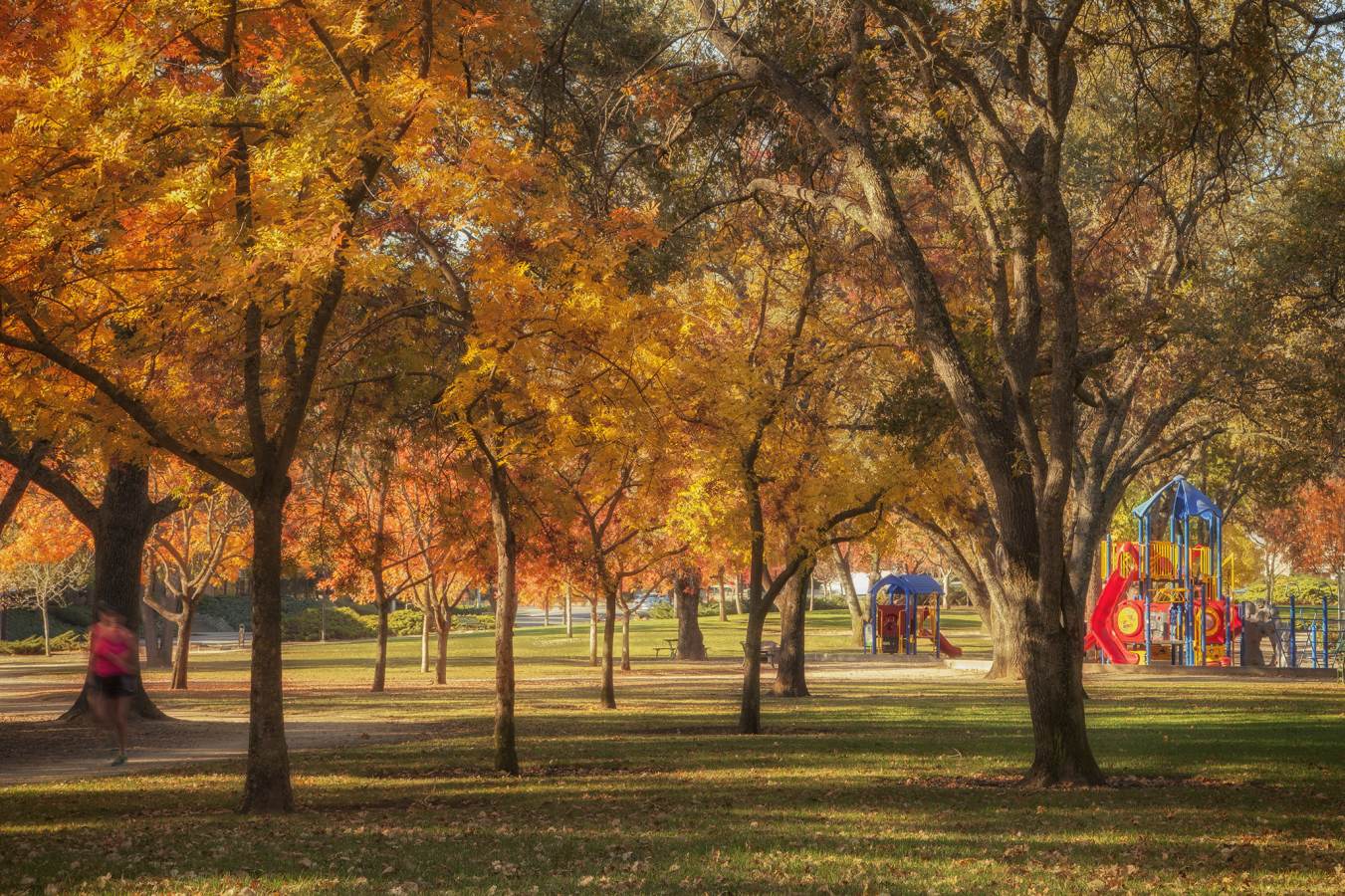 Vacaville Andrews Park