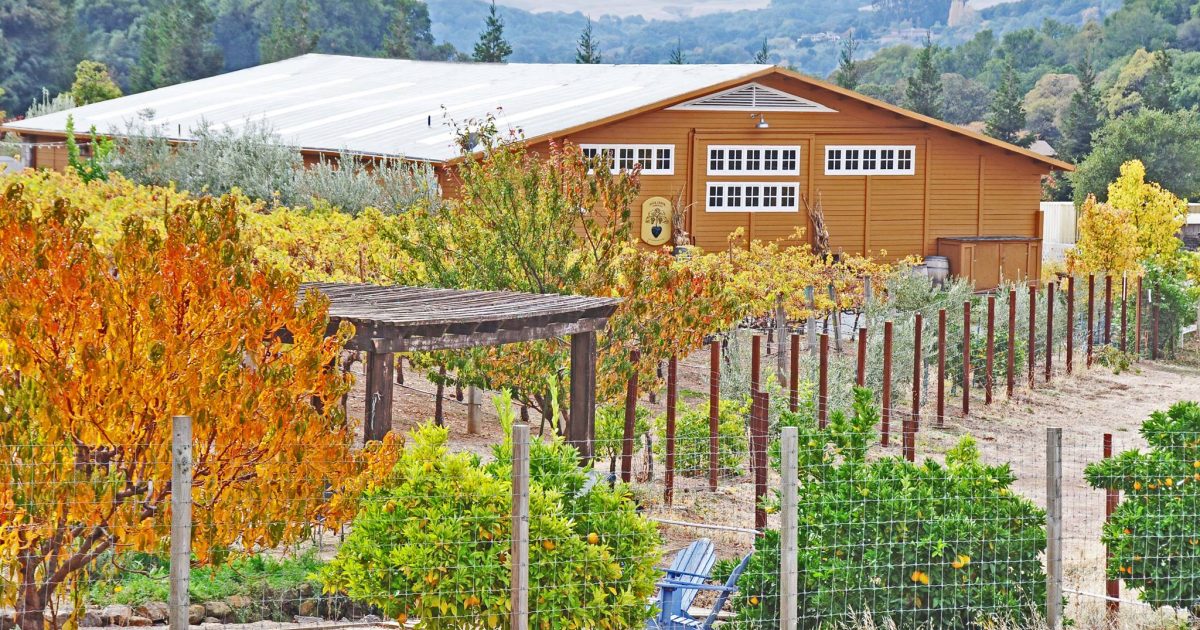 Rock Creek Vineyard Visit Vacaville