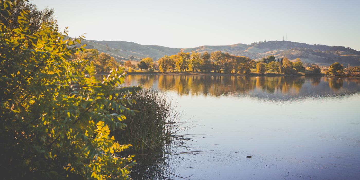 An Insider's Guide to Vacaville's Lagoon Valley Park How to Make the