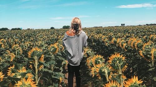 girl in a field of sunflowers