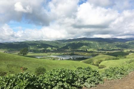 Lagoon valley medium