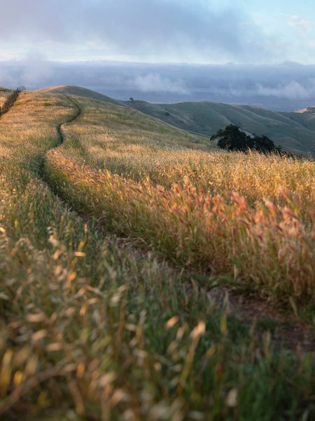 Your Easy Vacaville To Oakland Travel Planner: Save Time & Money! - 2hb21fa