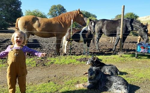 Child with horses
