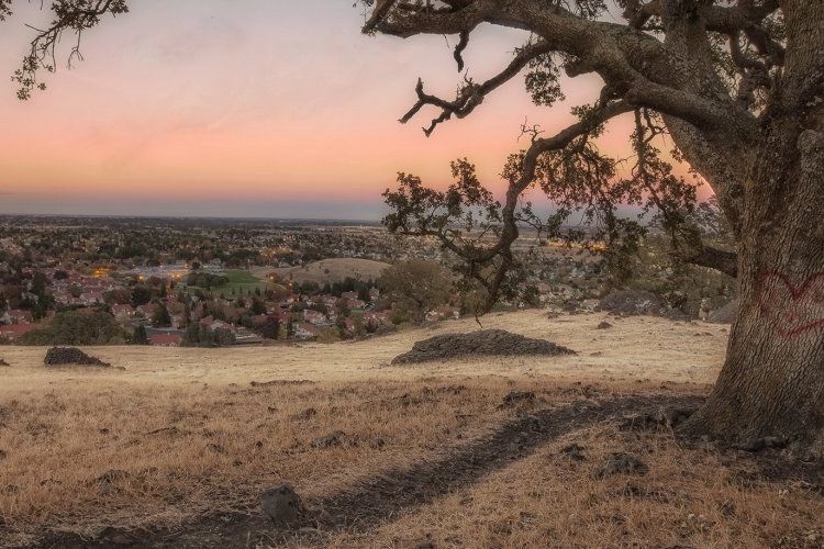 Tree in the hills with a heart on it