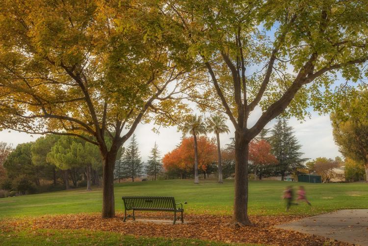 Andrews Park in the Fall