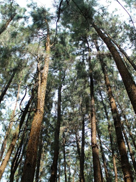 Discover Hidden Gems On Your Oakland To Vacaville Drive - dmejnib