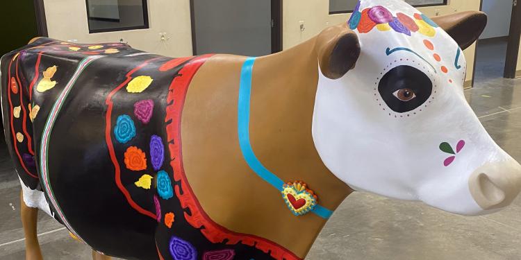 Florita the cow