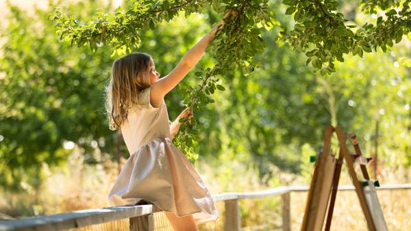 Girl picking fruit