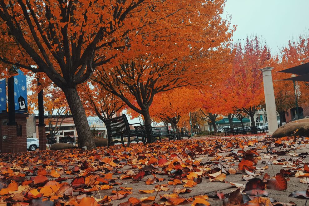 Downtown Vacaville in the Fall
