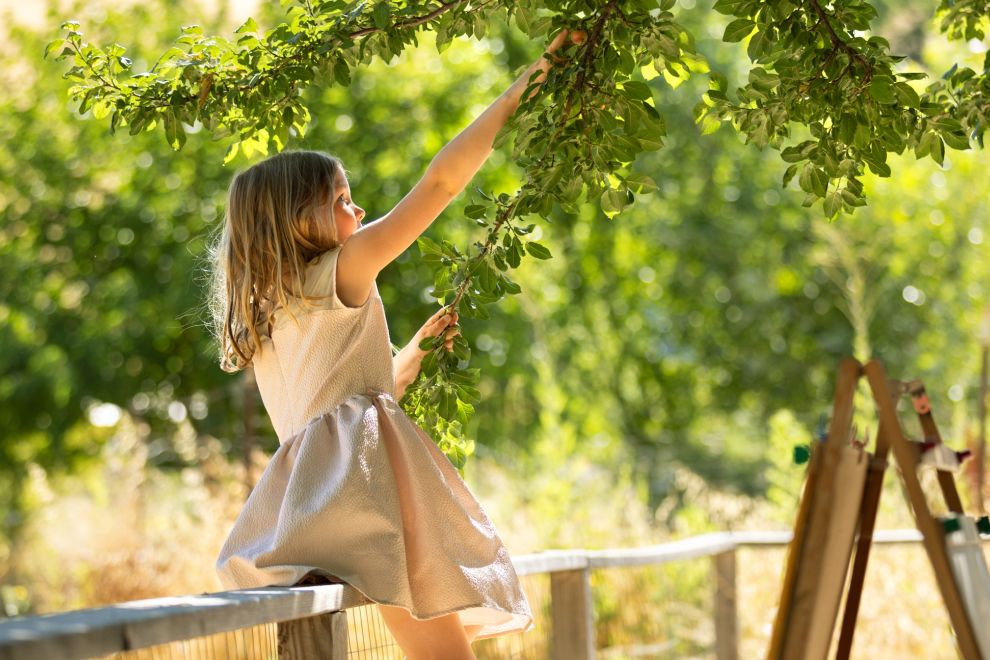 Girl picking fruit