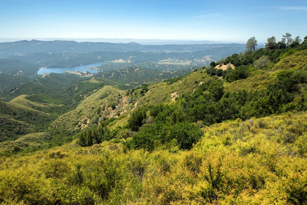 Lagoon Valley aerial view