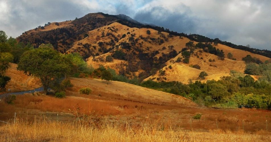 Vacaville, CA Tourism,Visitor Information, Trade Shows Vacaville, CA Tourism,Visitor Information, Trade Shows