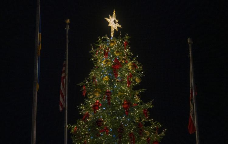 Merriment on Main